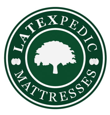 top of the line highest rated latex mattress reviews consumer reports